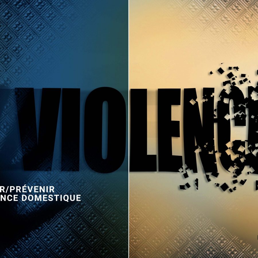Détecter Prévenir la violence domestique Formation VOIR venir et agir